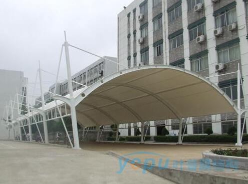 1711374602187509.jpg 8.jpg