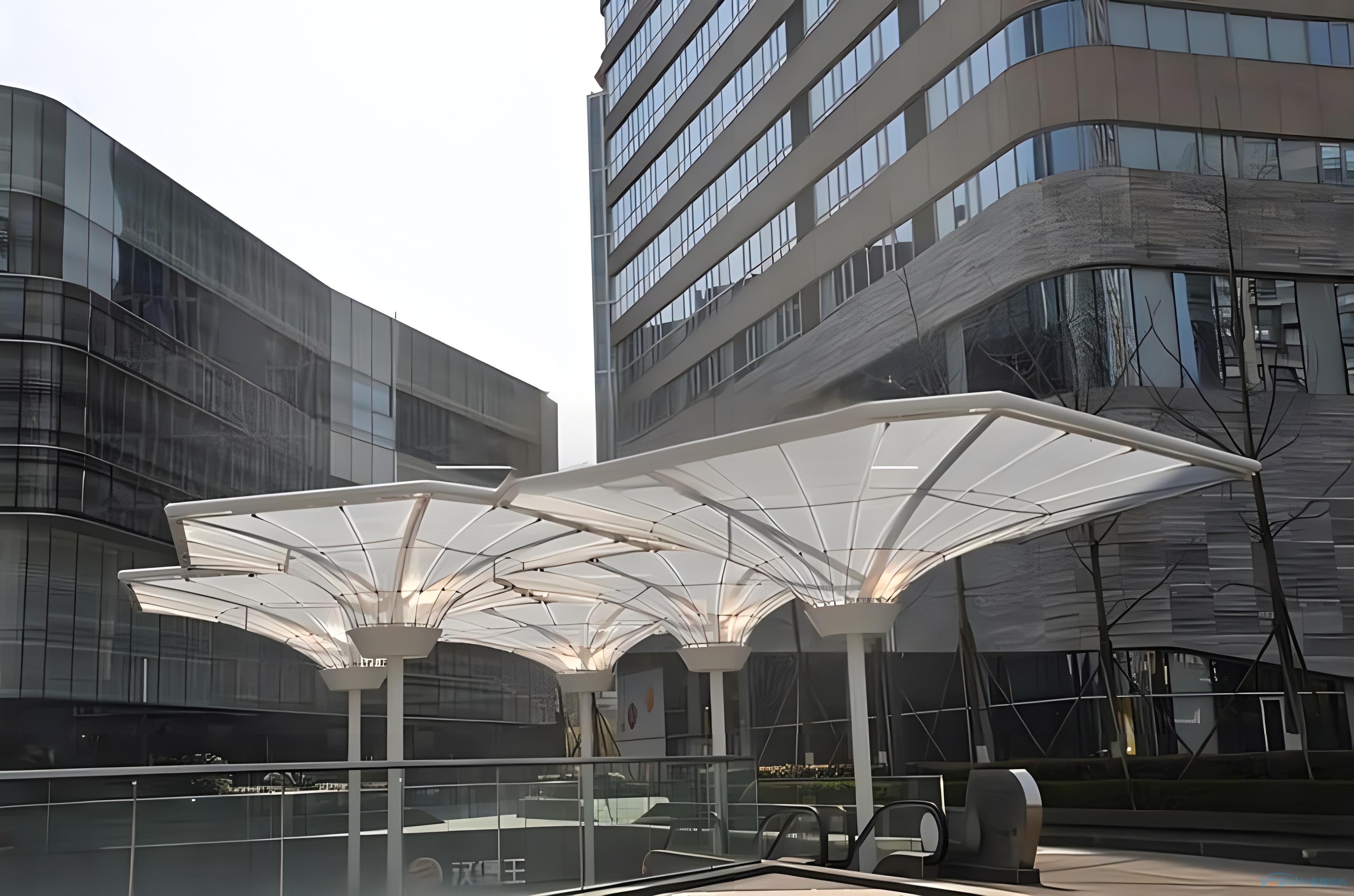 1711429866832829.jpg 2e83d11b-c06c-4dcf-97f9-14aea45e4450.jpg