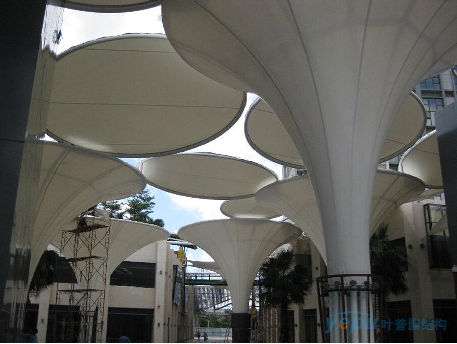 1711621385742401.jpg 45.jpg